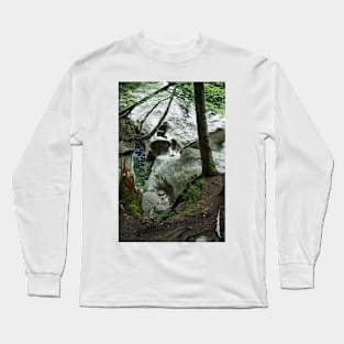 Head of the Falls Long Sleeve T-Shirt